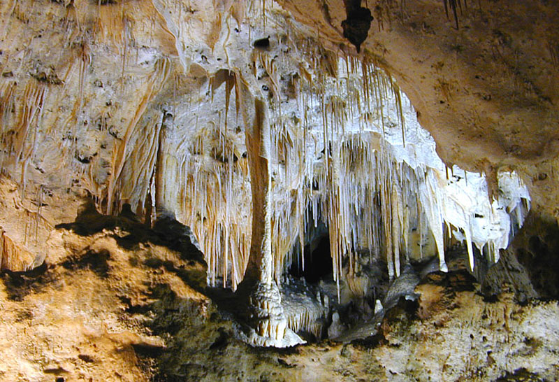 Carlsbad Caverns National Park Carlsbad Caverns National Park