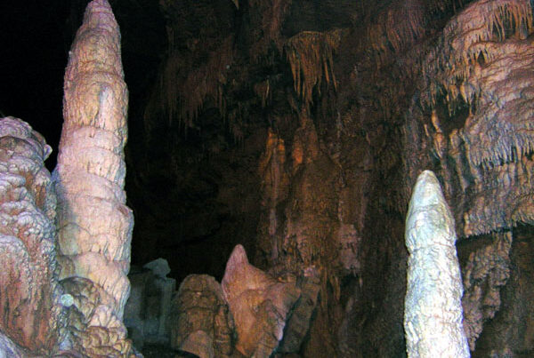 Lost World Formations